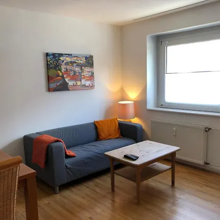 Im Schoenen Neuenheim هايدلبرغ