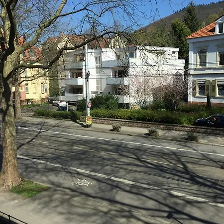 Im Schoenen Neuenheim Апартаменты *