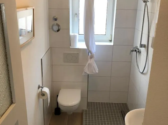 Im Schoenen Neuenheim هايدلبرغ