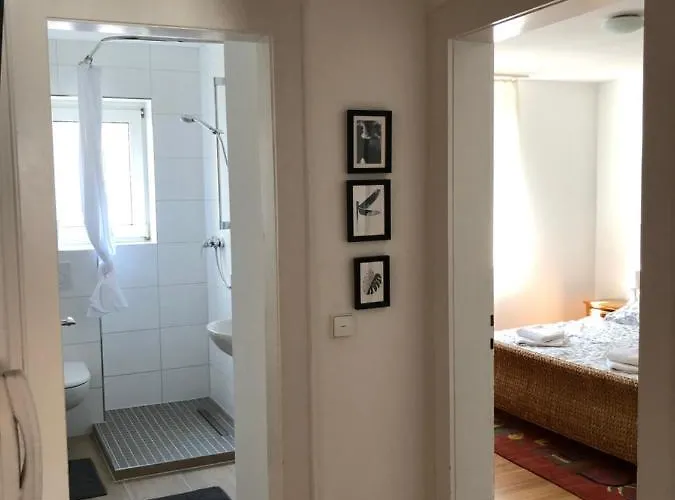 Im Schoenen Neuenheim هايدلبرغ